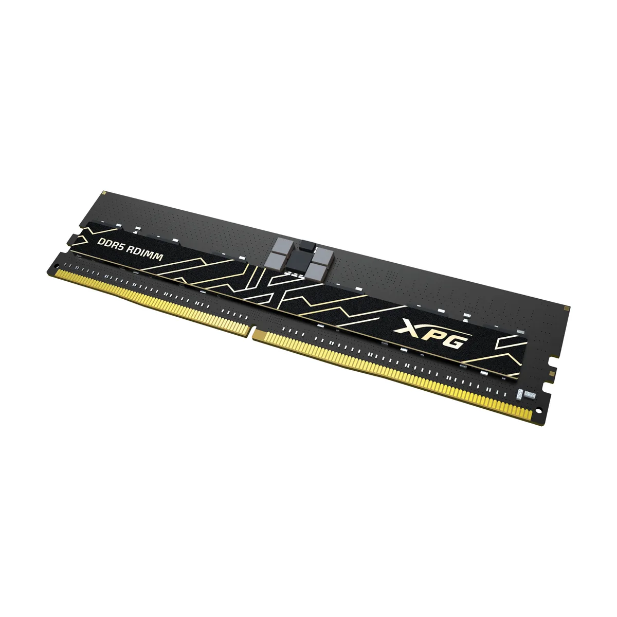 Two black DDR5 RDIMMs with silver heat spreaders and gold contacts