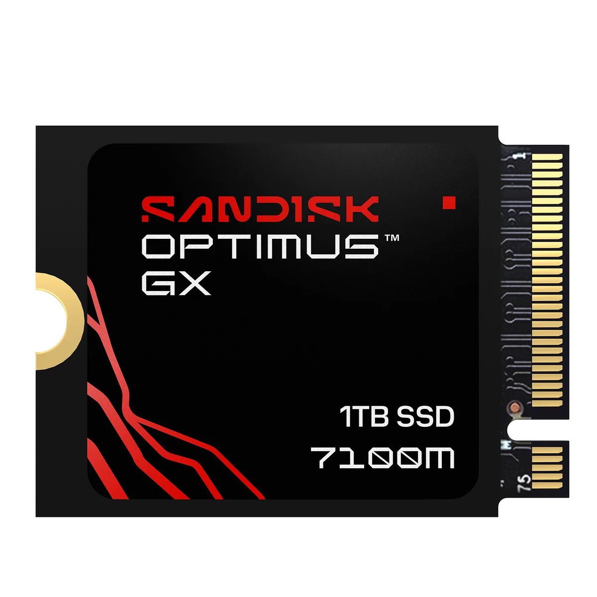 SanDisk SanDisk Optimus GX 7100M 1TB internal SSD SDSP71100TAT-000E0 — product photo