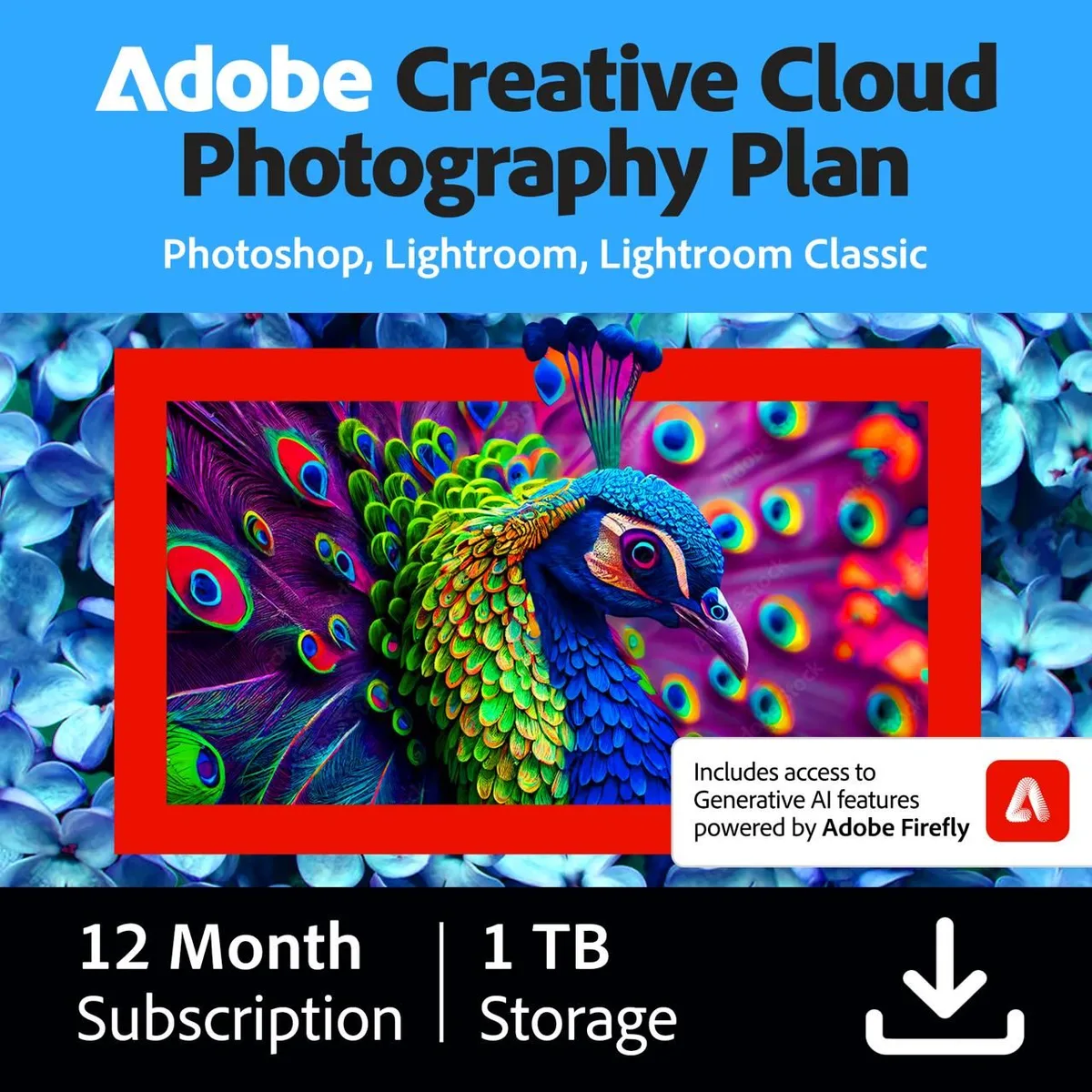 Adobe Adobe 65332976 Creative Cloud Photography Plan 1TB 1-Year Subscription — fotografia produktu